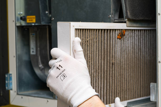 Best Air Vent Cleaning Services  in Hampton, IA