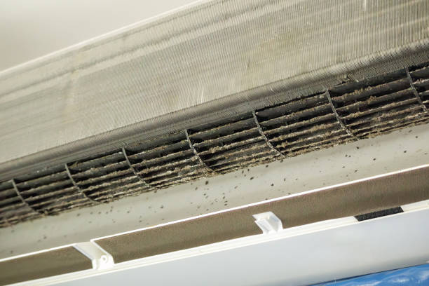 Best Professional Duct Cleaning Services  in Hampton, IA